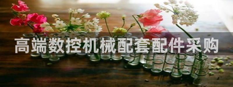 天辰娱乐电话:高端数控机械配套配件采购