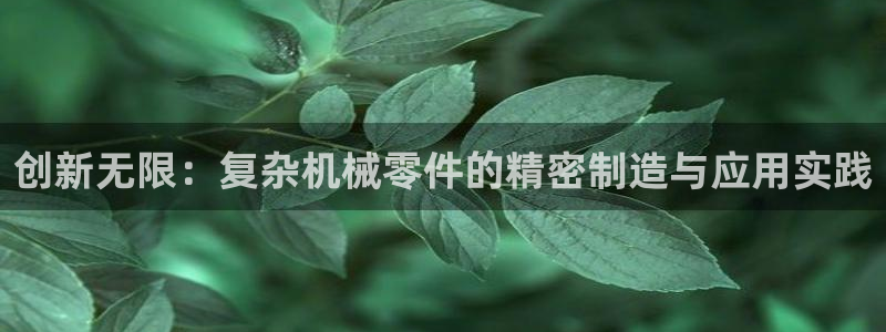 天辰娱乐7天22650:创新无限:复杂机械零件的精密制造与应用实践