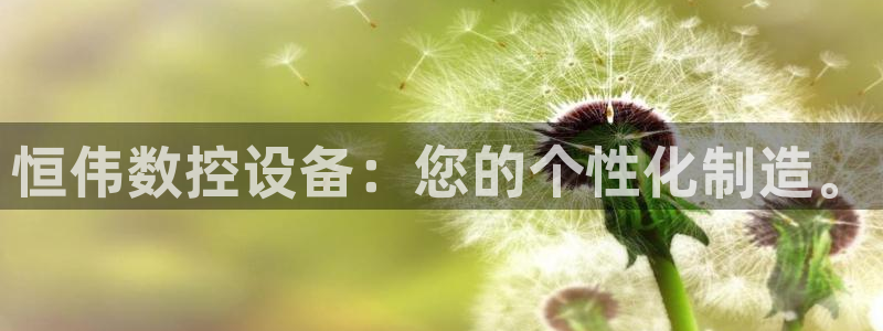 天辰娱乐网:恒伟数控设备:您的个性化制造。