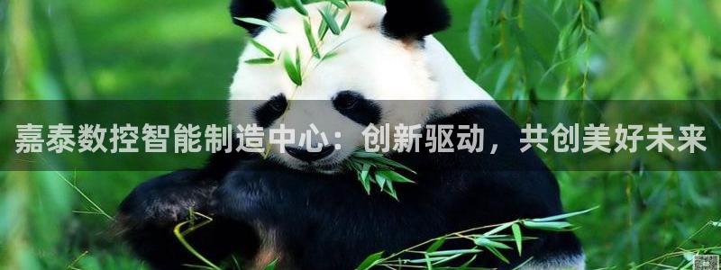 天辰娱乐84566:嘉泰数控智能制造中心:创新驱动,共创美好未来