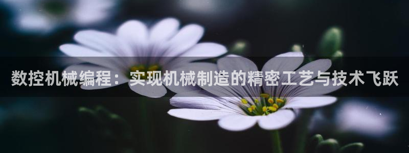天辰娱乐酒店:数控机械编程:实现机械制造的精密工艺与技术飞跃