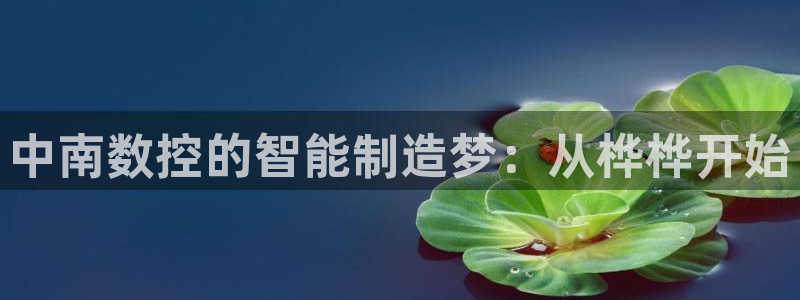 天辰娱乐连接:中南数控的智能制造梦:从桦桦开始