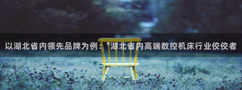 天辰娱乐10086:以湖北省内领先品牌为例:\