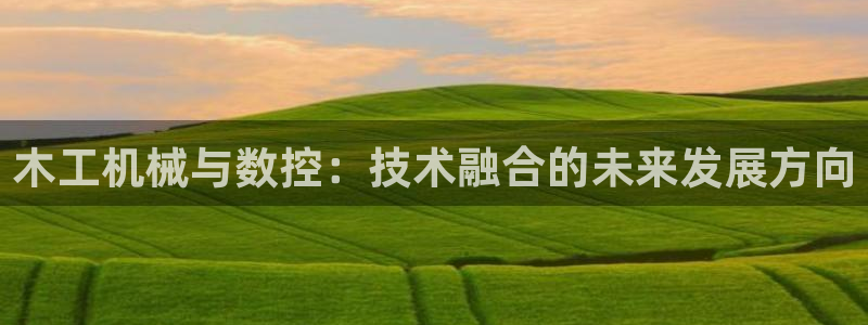 天辰娱乐说:木工机械与数控:技术融合的未来发展方向