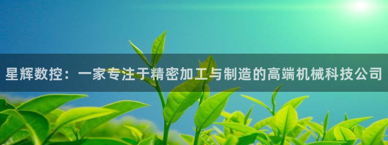 天辰娱乐登陆:星辉数控:一家专注于精密加工与制造的高端机械科技公司