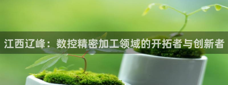 天辰娱乐会员:江西辽峰:数控精密加工领域的开拓者与创新者