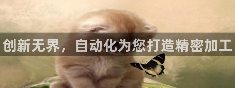 天辰娱乐路线:创新无界,自动化为您打造精密加工