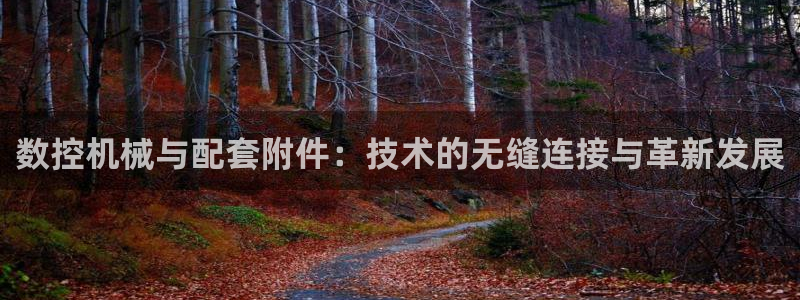 天辰娱乐解封:数控机械与配套附件:技术的无缝连接与革新发展