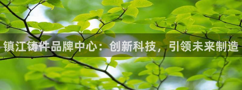哈尔滨天辰娱乐:镇江铸件品牌中心:创新科技,引领未来制造