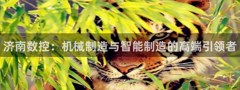 天辰娱乐软件:济南数控:机械制造与智能制造的高端引领者