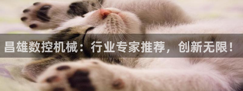 哈尔滨天辰娱乐:昌雄数控机械:行业专家推荐,创新无限!