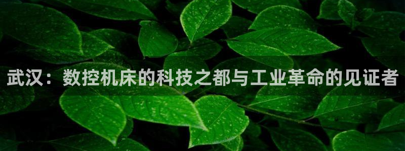 天辰娱乐鱼刺:武汉:数控机床的科技之都与工业革命的见证者