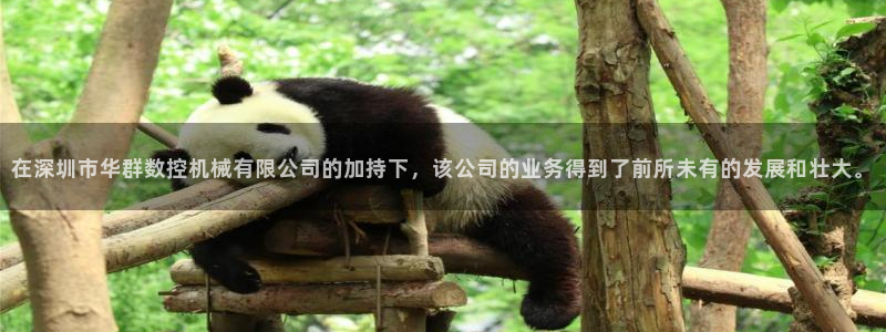天辰娱乐指定:在深圳市华群数控机械有限公司的加持下,该公司的业务得到了前所未有的发展和壮大。