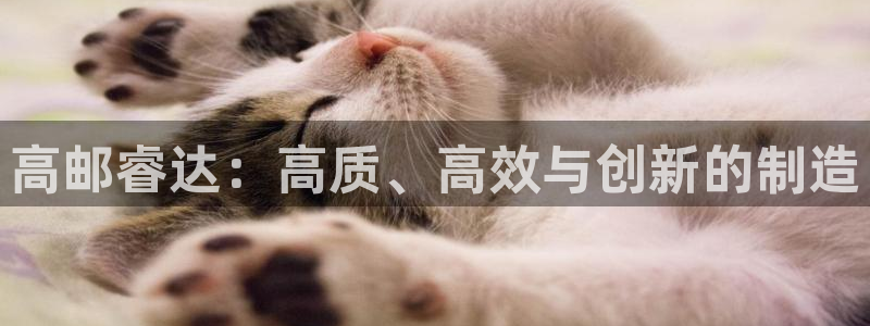 天辰娱乐平台注册:高邮睿达:高质、高效与创新的制造