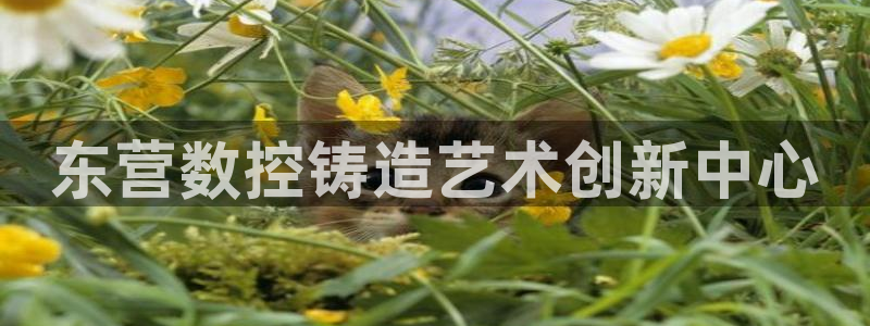 天辰娱乐 728567:东营数控铸造艺术创新中心