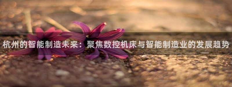 天辰团队贝高娱乐:杭州的智能制造未来:聚焦数控机床与智能制造业的发展趋势