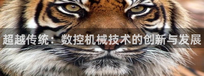 天辰娱乐557448:超越传统:数控机械技术的创新与发展