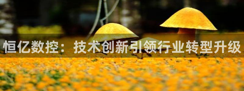 天辰娱乐会员:恒亿数控:技术创新引领行业转型升级