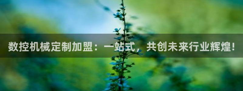 天辰娱乐会员:数控机械定制加盟:一站式,共创未来行业辉煌!