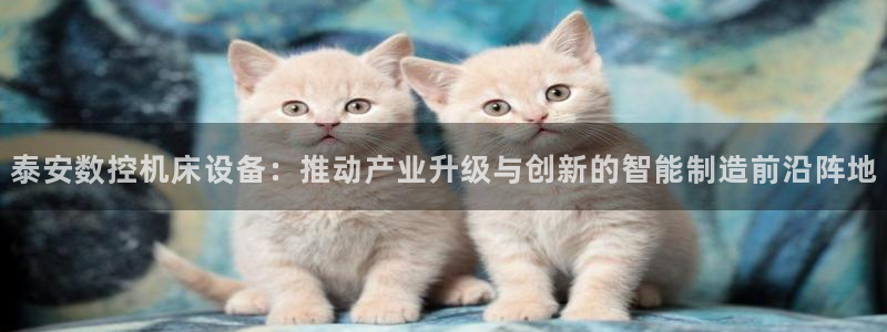 天富天辰娱乐:泰安数控机床设备:推动产业升级与创新的智能制造前沿阵地