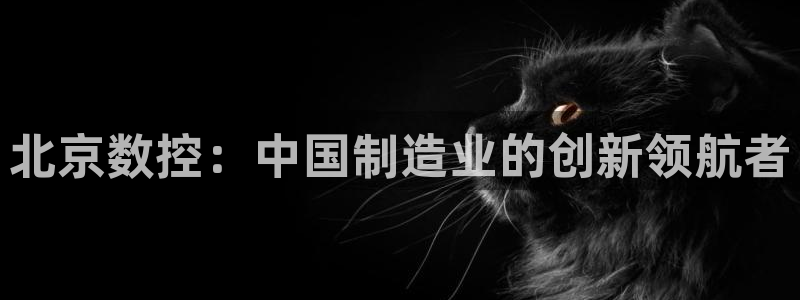 天辰娱乐1956:北京数控:中国制造业的创新领航者