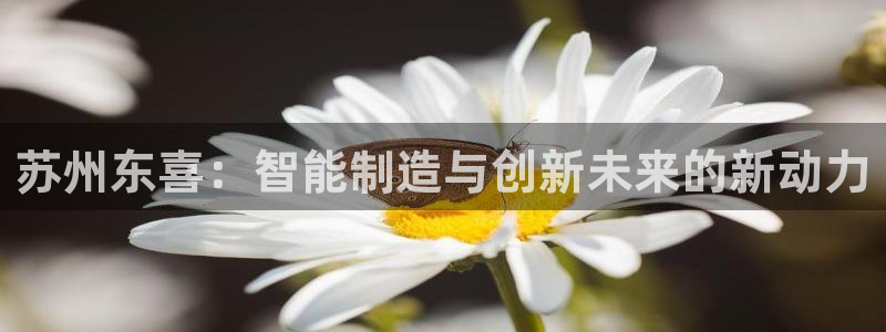 天辰娱乐天辰注册登录:苏州东喜:智能制造与创新未来的新动力