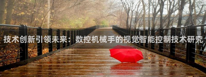 深圳天辰娱乐:技术创新引领未来:数控机械手的视觉智能控制技术研究